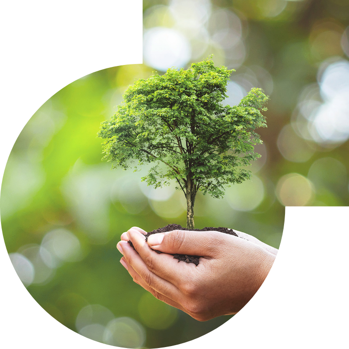 关怀人类、文化、环境与社会