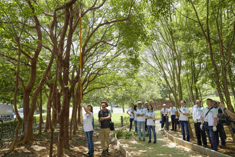 藝師教導大家認識樹木、檢查樹的健康狀況，學習修枝及碎枝覆土